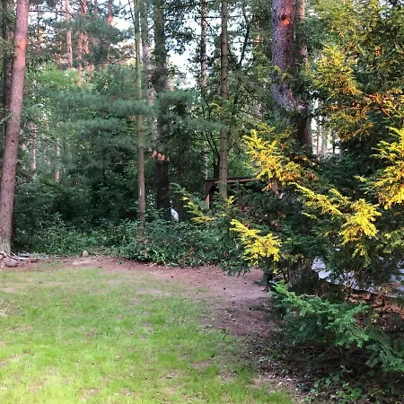 Reetdach 1300qm Privatgrundstueck Bootssteg Sauna Templin Luebbesee Uckermark Erholung Pur Seenplatte *
