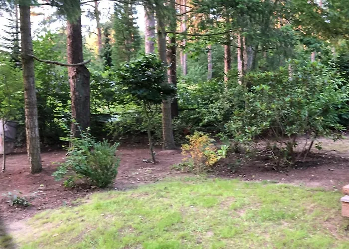 Reetdach 1300qm Privatgrundstück Bootssteg Sauna Templin Lübbesee Uckermark Erholung Pur Seenplatte Ferienhaus Petersdorf (Uckermark)