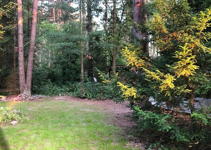 Reetdach 1300qm Privatgrundstück Bootssteg Sauna Templin Lübbesee Uckermark Erholung Pur Seenplatte *