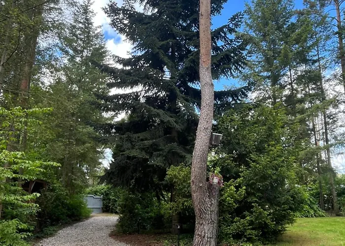 Ferienhaus Reetdach 1300qm Privatgrundstück Bootssteg Sauna Templin Lübbesee Uckermark Erholung Pur Seenplatte Petersdorf (Uckermark)